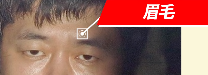 新井浩文の眉毛