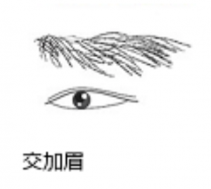 交加眉（こうかび）