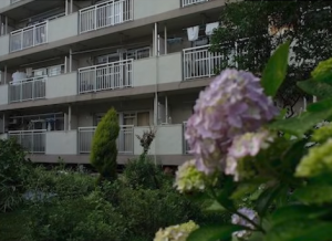 1人暮らしの女性が深夜、強姦された上で殺害された