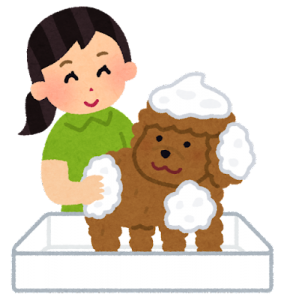 犬にシャンプーをする人