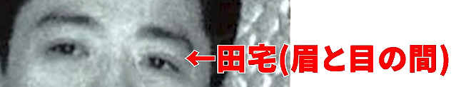 目元