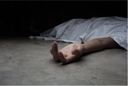 死体