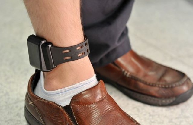 電子監視システム導入希望