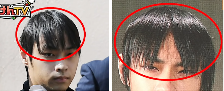 髪の毛の細さ・毛量