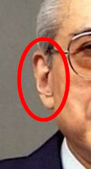 耳